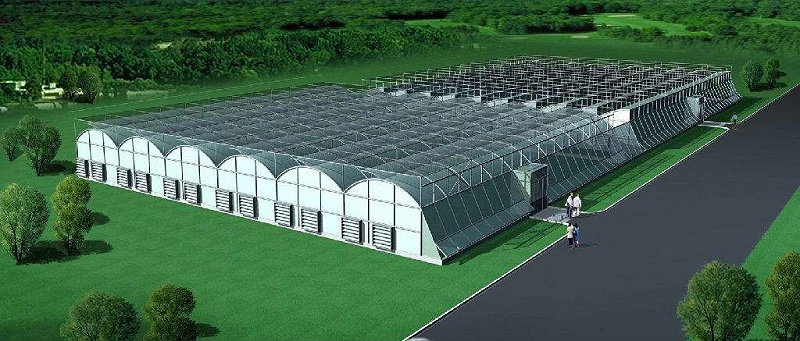 農漁業用改性塑料的現狀及發展趨勢—中新華美改性塑料